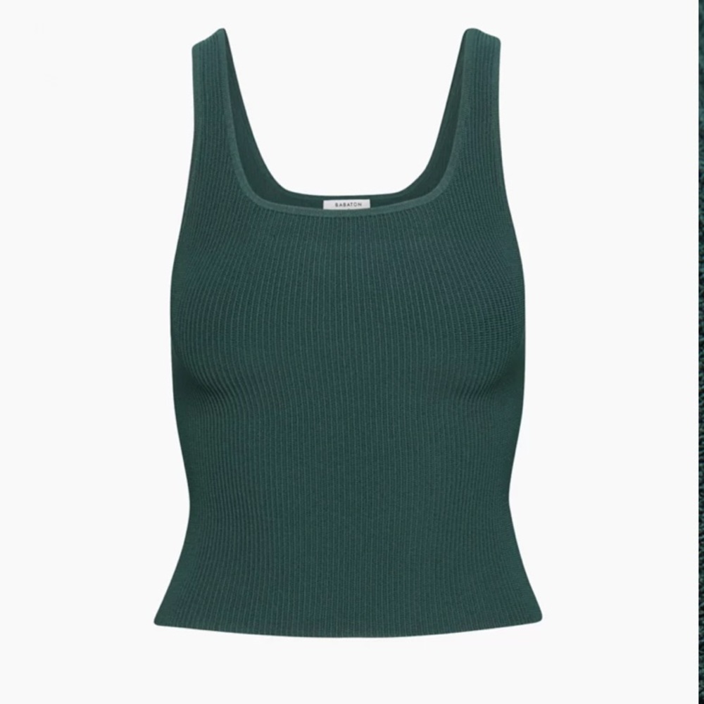 Babaton Sculpt Knit Top